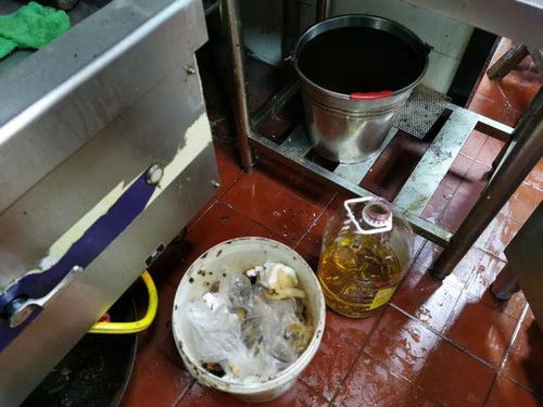 餐飲復(fù)工調(diào)查 積壓庫存引擔(dān)憂，服務(wù)安全需關(guān)注