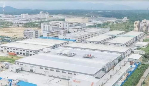 中國崛起為全球植物基食品重要市場，Omni新葷主義引領安心純素餐飲服務新潮流